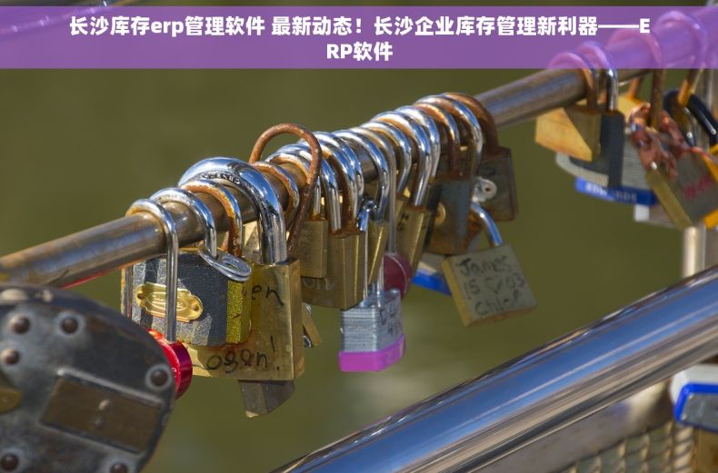 长沙库存erp管理软件 最新动态！长沙企业库存管理新利器——ERP软件