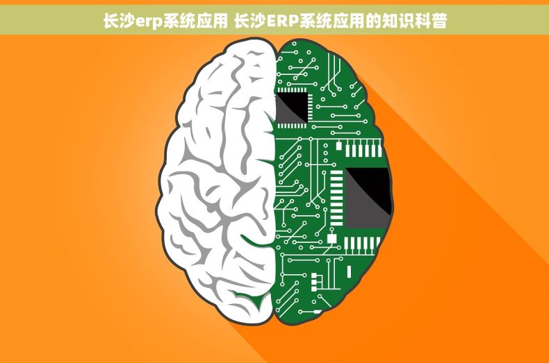 长沙erp系统应用 长沙ERP系统应用的知识科普
