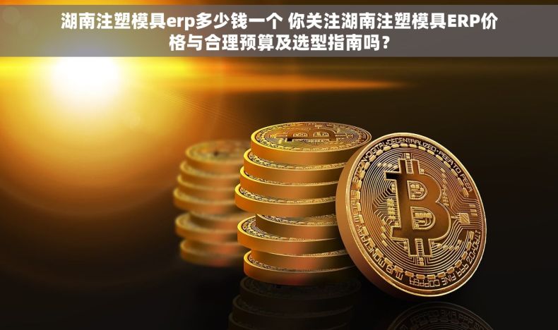湖南注塑模具erp多少钱一个 你关注湖南注塑模具ERP价格与合理预算及选型指南吗？