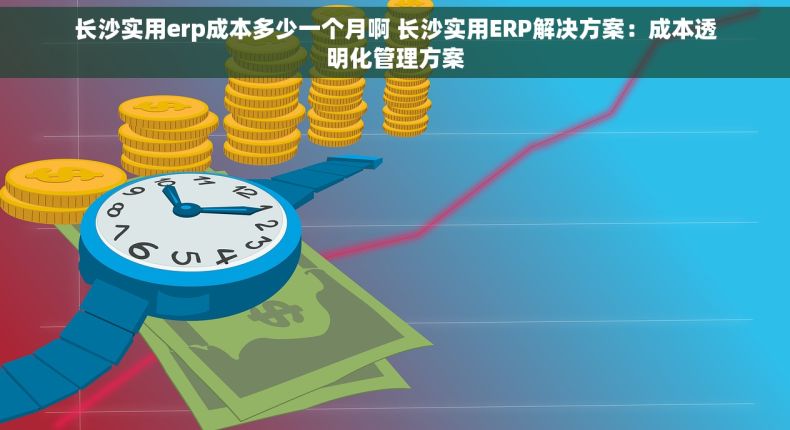 长沙实用erp成本多少一个月啊 长沙实用ERP解决方案：成本透明化管理方案