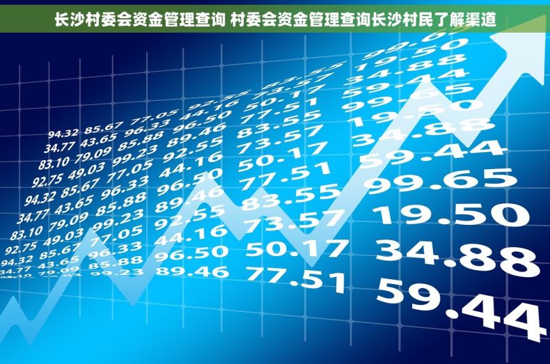 长沙村委会资金管理查询 村委会资金管理查询长沙村民了解渠道