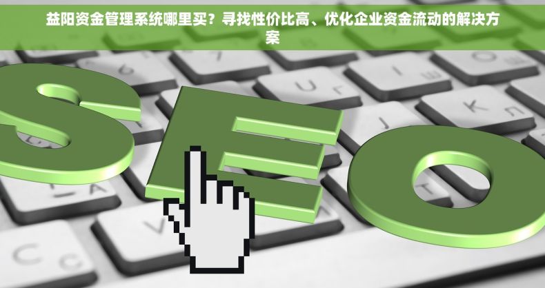 益阳资金管理系统哪里买？寻找性价比高、优化企业资金流动的解决方案
