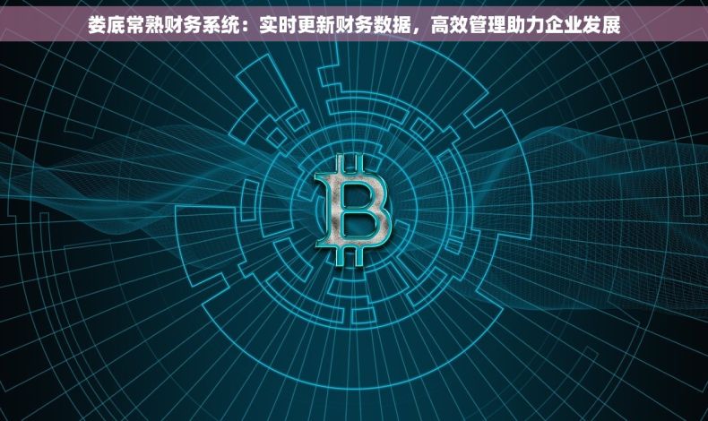 娄底常熟财务系统：实时更新财务数据，高效管理助力企业发展