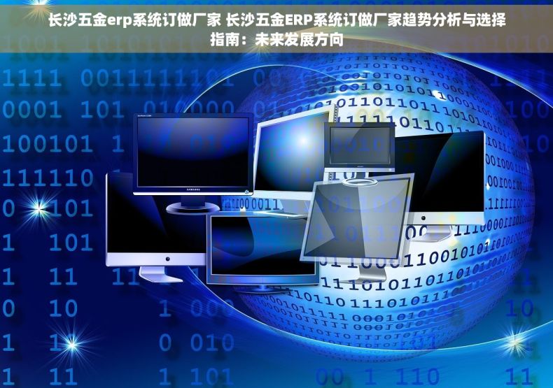 长沙五金erp系统订做厂家 长沙五金ERP系统订做厂家趋势分析与选择指南：未来发展方向