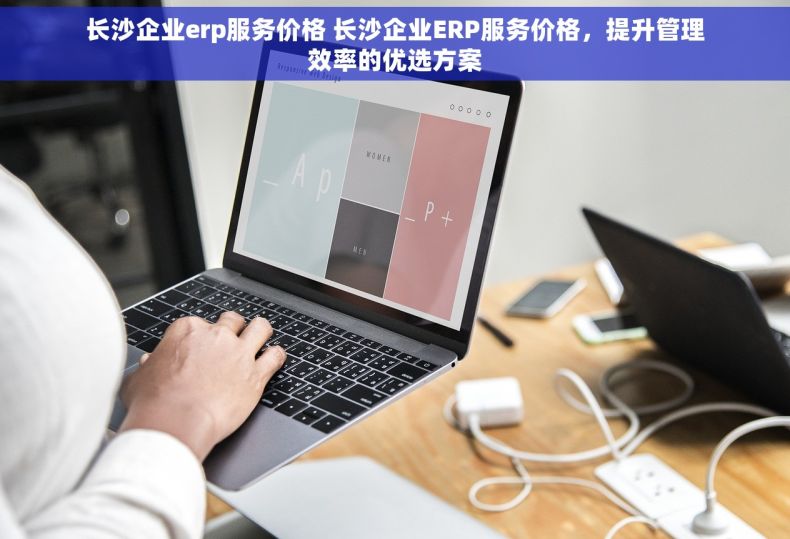 长沙企业erp服务价格 长沙企业ERP服务价格，提升管理效率的优选方案
