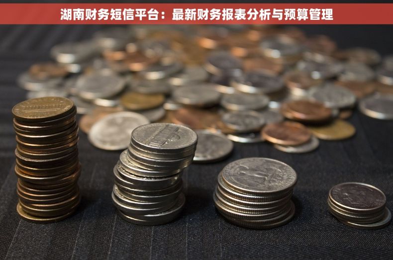 湖南财务短信平台：最新财务报表分析与预算管理
