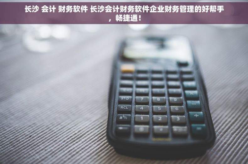 长沙 会计 财务软件 长沙会计财务软件企业财务管理的好帮手，畅捷通！