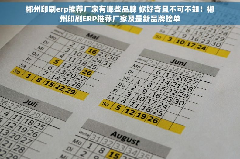郴州印刷erp推荐厂家有哪些品牌 你好奇且不可不知！郴州印刷ERP推荐厂家及最新品牌榜单