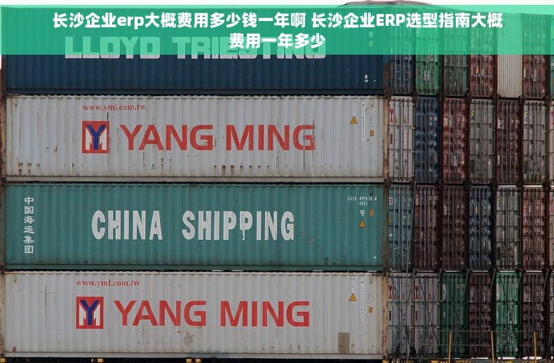 长沙企业erp大概费用多少钱一年啊 长沙企业ERP选型指南大概费用一年多少