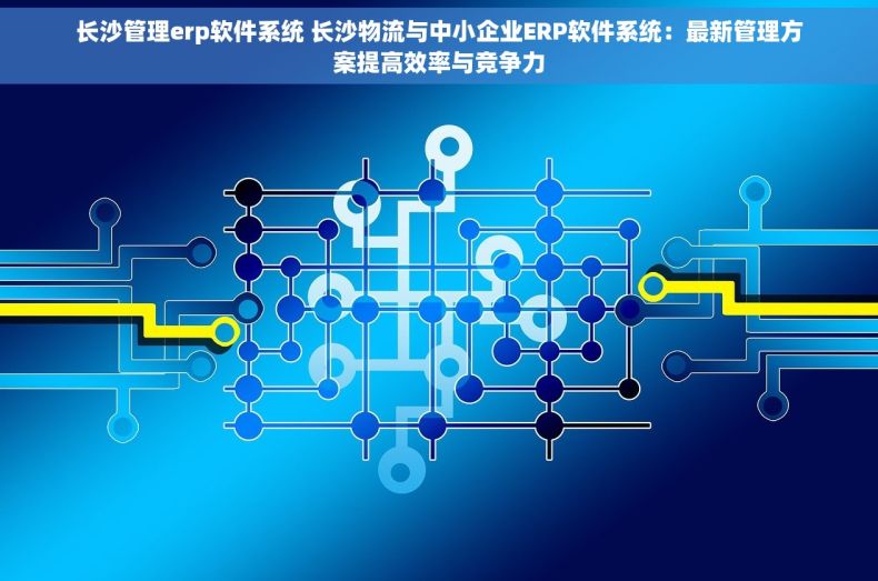 长沙管理erp软件系统 长沙物流与中小企业ERP软件系统：最新管理方案提高效率与竞争力