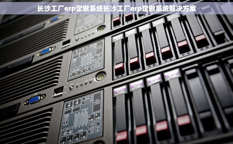 长沙工厂erp定做系统长沙工厂erp定做系统解决方案