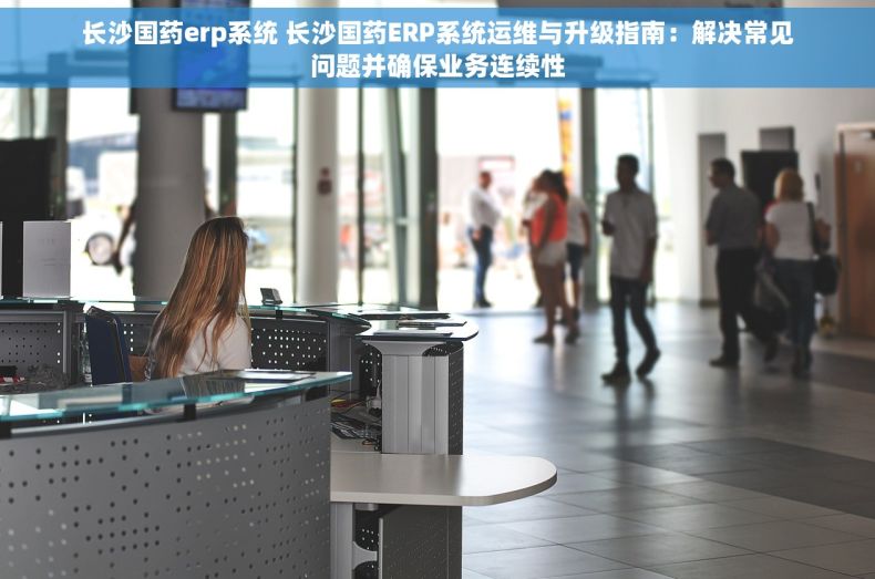 长沙国药erp系统 长沙国药ERP系统运维与升级指南：解决常见问题并确保业务连续性