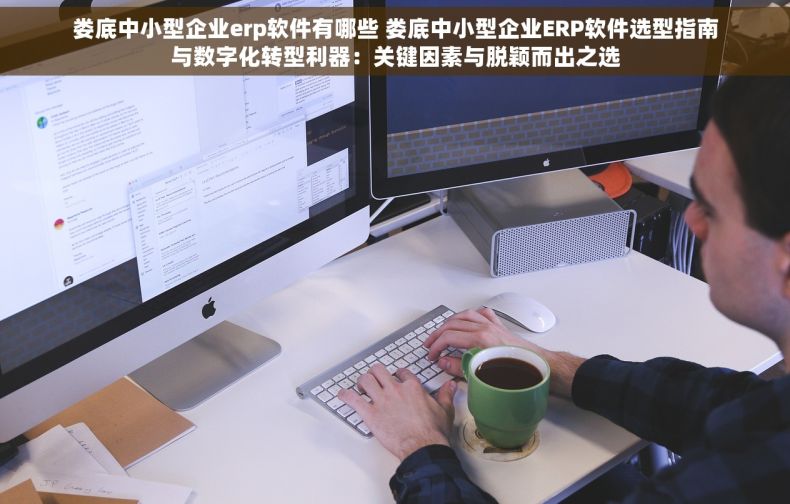 娄底中小型企业erp软件有哪些 娄底中小型企业ERP软件选型指南与数字化转型利器：关键因素与脱颖而出之选