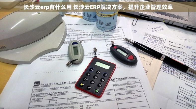 长沙云erp有什么用 长沙云ERP解决方案，提升企业管理效率