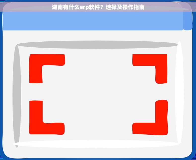 湖南有什么erp软件？选择及操作指南