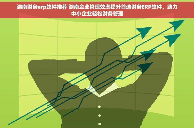 湖南财务erp软件推荐 湖南企业管理效率提升首选财务ERP软件，助力中小企业轻松财务管理