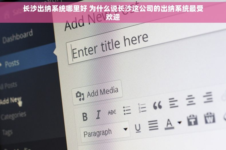 长沙出纳系统哪里好 为什么说长沙这公司的出纳系统最受欢迎