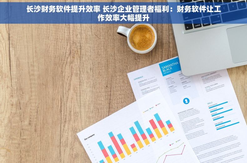 长沙财务软件提升效率 长沙企业管理者福利：财务软件让工作效率大幅提升