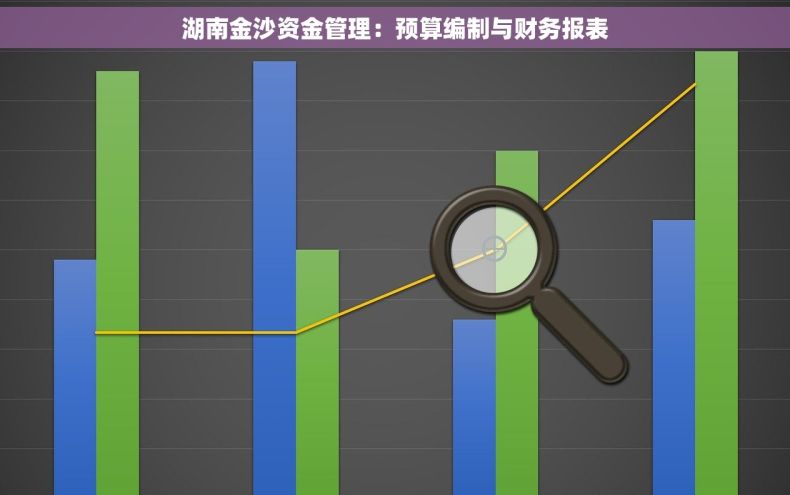 湖南金沙资金管理：预算编制与财务报表