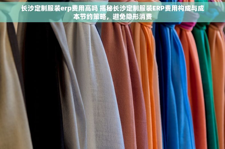 长沙定制服装erp费用高吗 揭秘长沙定制服装ERP费用构成与成本节约策略，避免隐形消费