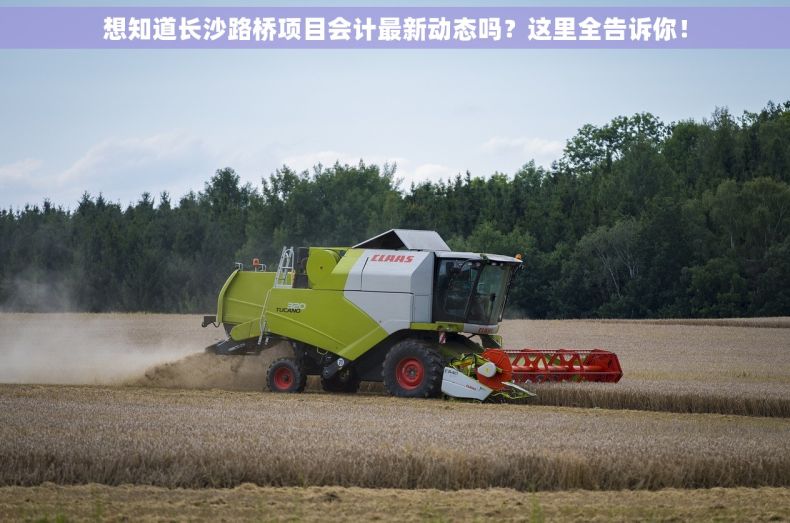 想知道长沙路桥项目会计最新动态吗？这里全告诉你！