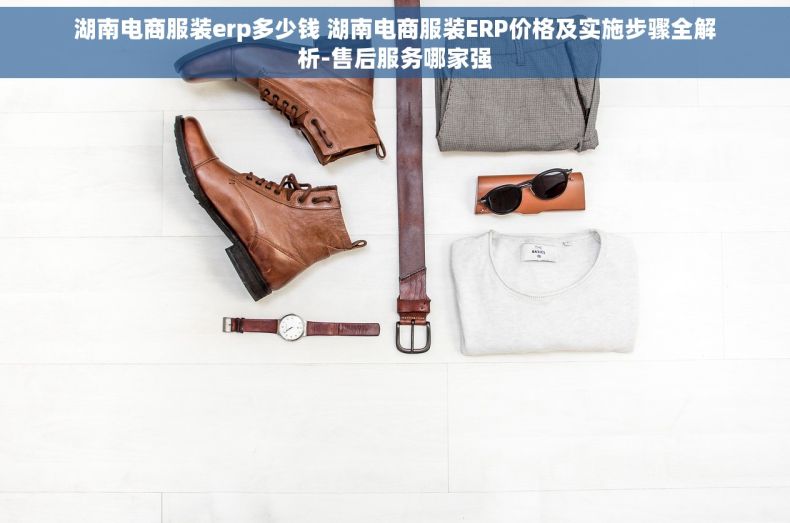 湖南电商服装erp多少钱 湖南电商服装ERP价格及实施步骤全解析-售后服务哪家强