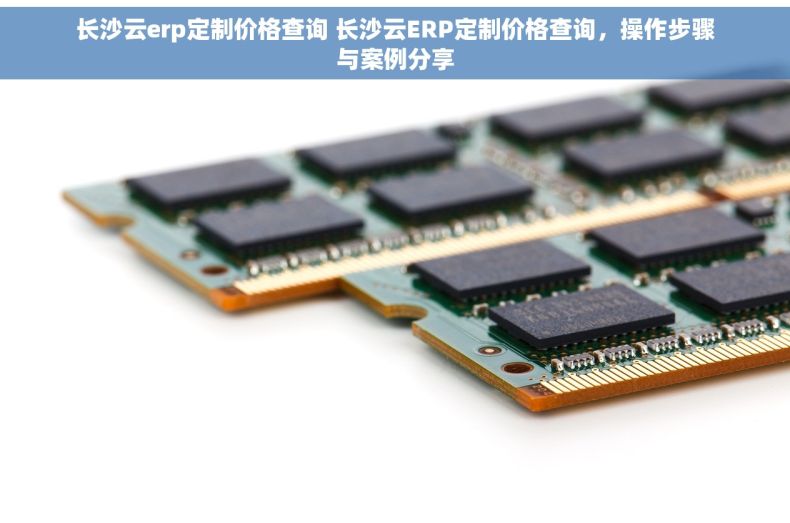 长沙云erp定制价格查询 长沙云ERP定制价格查询，操作步骤与案例分享