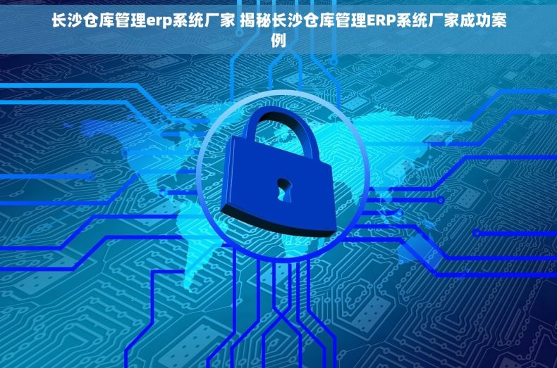 长沙仓库管理erp系统厂家 揭秘长沙仓库管理ERP系统厂家成功案例