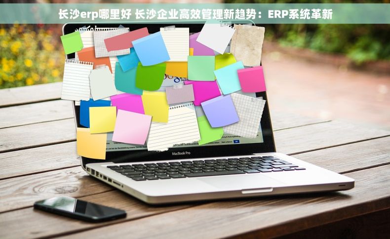 长沙erp哪里好 长沙企业高效管理新趋势：ERP系统革新