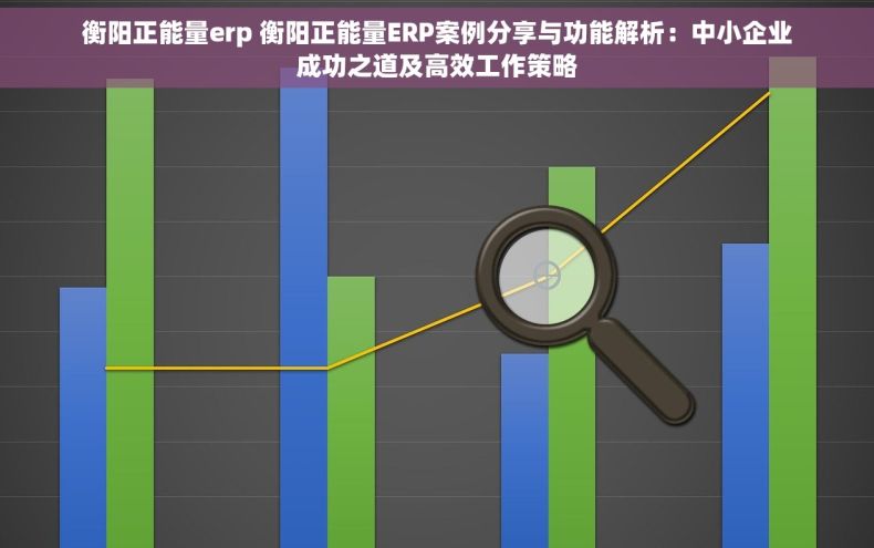 衡阳正能量erp 衡阳正能量ERP案例分享与功能解析：中小企业成功之道及高效工作策略
