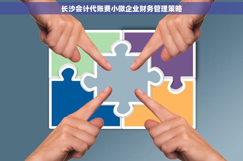 长沙会计代账费小微企业财务管理策略