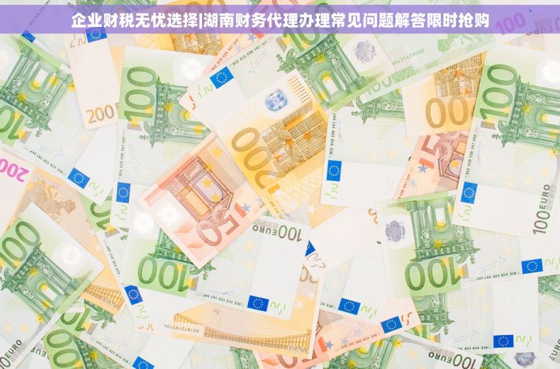 企业财税无忧选择|湖南财务代理办理常见问题解答限时抢购