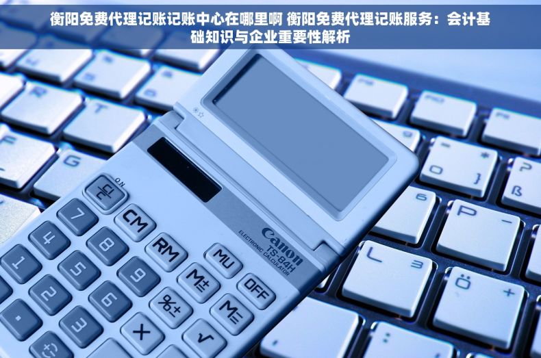 衡阳免费代理记账记账中心在哪里啊 衡阳免费代理记账服务：会计基础知识与企业重要性解析