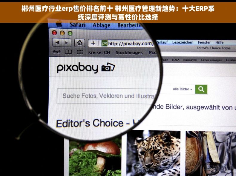 郴州医疗行业erp售价排名前十 郴州医疗管理新趋势：十大ERP系统深度评测与高性价比选择