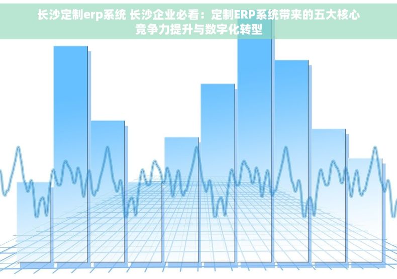 长沙定制erp系统 长沙企业必看：定制ERP系统带来的五大核心竞争力提升与数字化转型