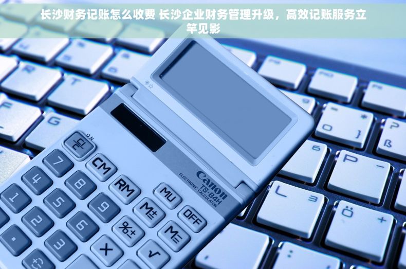 长沙财务记账怎么收费 长沙企业财务管理升级，高效记账服务立竿见影