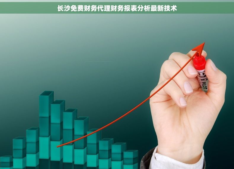 长沙免费财务代理财务报表分析最新技术