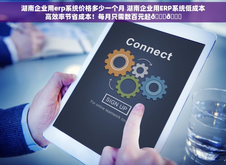 湖南企业用erp系统价格多少一个月 湖南企业用ERP系统低成本高效率节省成本！每月只需数百元起🌟🚀