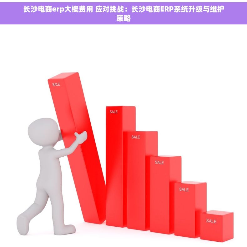 长沙电商erp大概费用 应对挑战：长沙电商ERP系统升级与维护策略