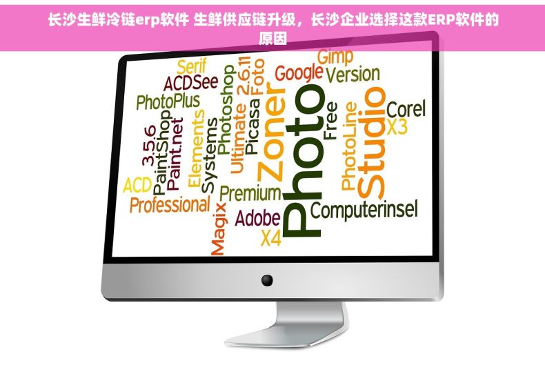 长沙生鲜冷链erp软件 生鲜供应链升级，长沙企业选择这款ERP软件的原因