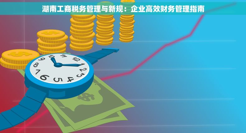 湖南工商税务管理与新规：企业高效财务管理指南