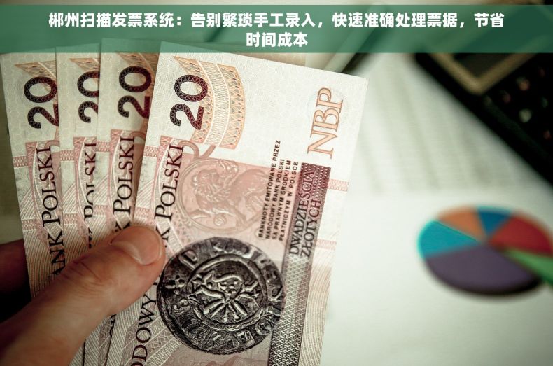 郴州扫描发票系统：告别繁琐手工录入，快速准确处理票据，节省时间成本