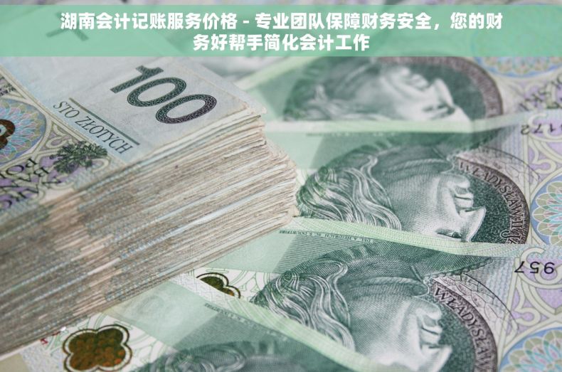 湖南会计记账服务价格 - 专业团队保障财务安全，您的财务好帮手简化会计工作