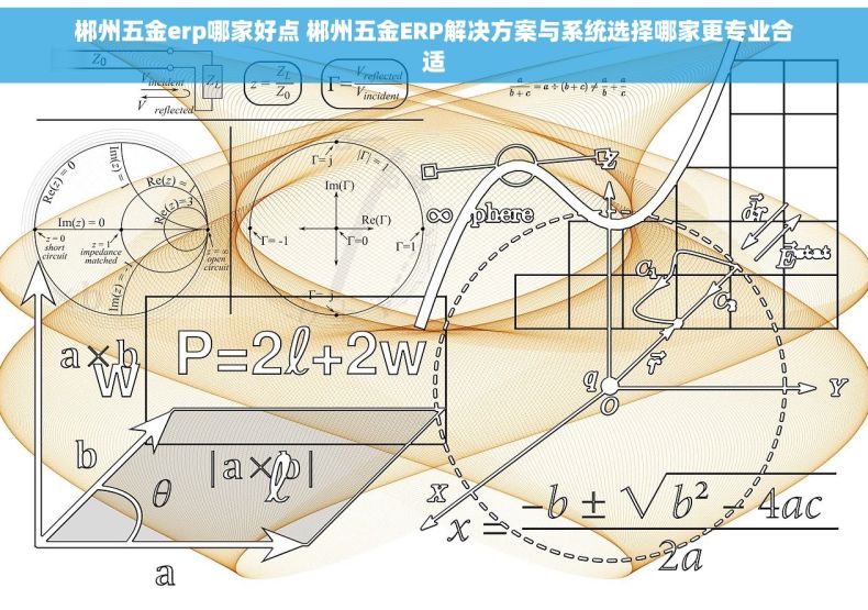 郴州五金erp哪家好点 郴州五金ERP解决方案与系统选择哪家更专业合适