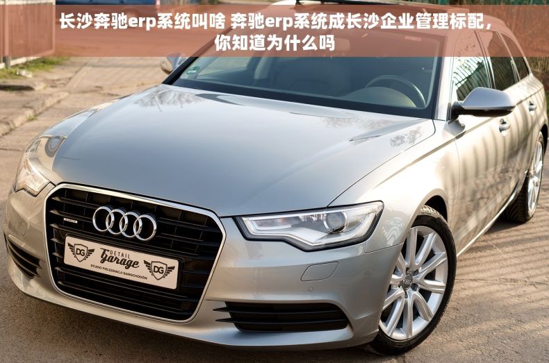 长沙奔驰erp系统叫啥 奔驰erp系统成长沙企业管理标配，你知道为什么吗