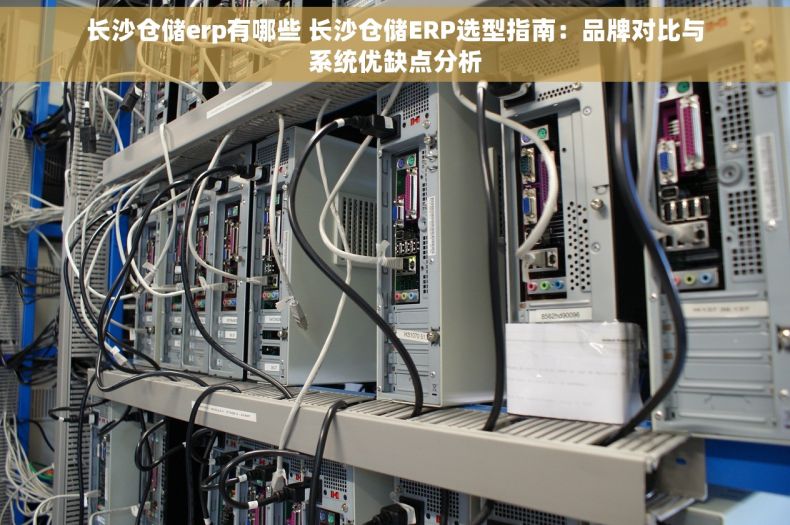 长沙仓储erp有哪些 长沙仓储ERP选型指南：品牌对比与系统优缺点分析