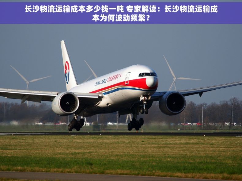 长沙物流运输成本多少钱一吨 专家解读：长沙物流运输成本为何波动频繁？