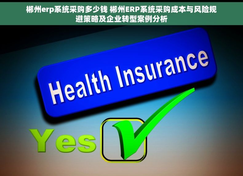 郴州erp系统采购多少钱 郴州ERP系统采购成本与风险规避策略及企业转型案例分析