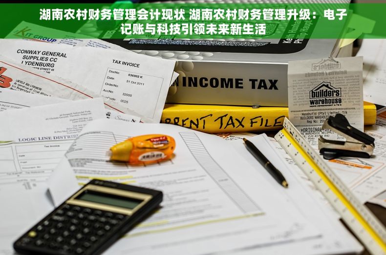 湖南农村财务管理会计现状 湖南农村财务管理升级：电子记账与科技引领未来新生活
