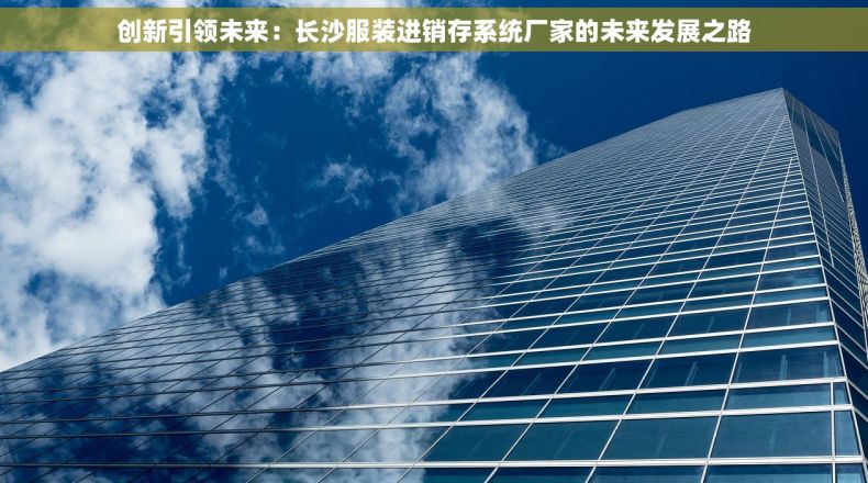 创新引领未来：长沙服装进销存系统厂家的未来发展之路